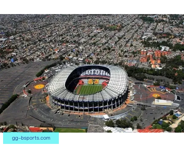 世界杯志愿者招募全球申请人数突破200万创历史新高